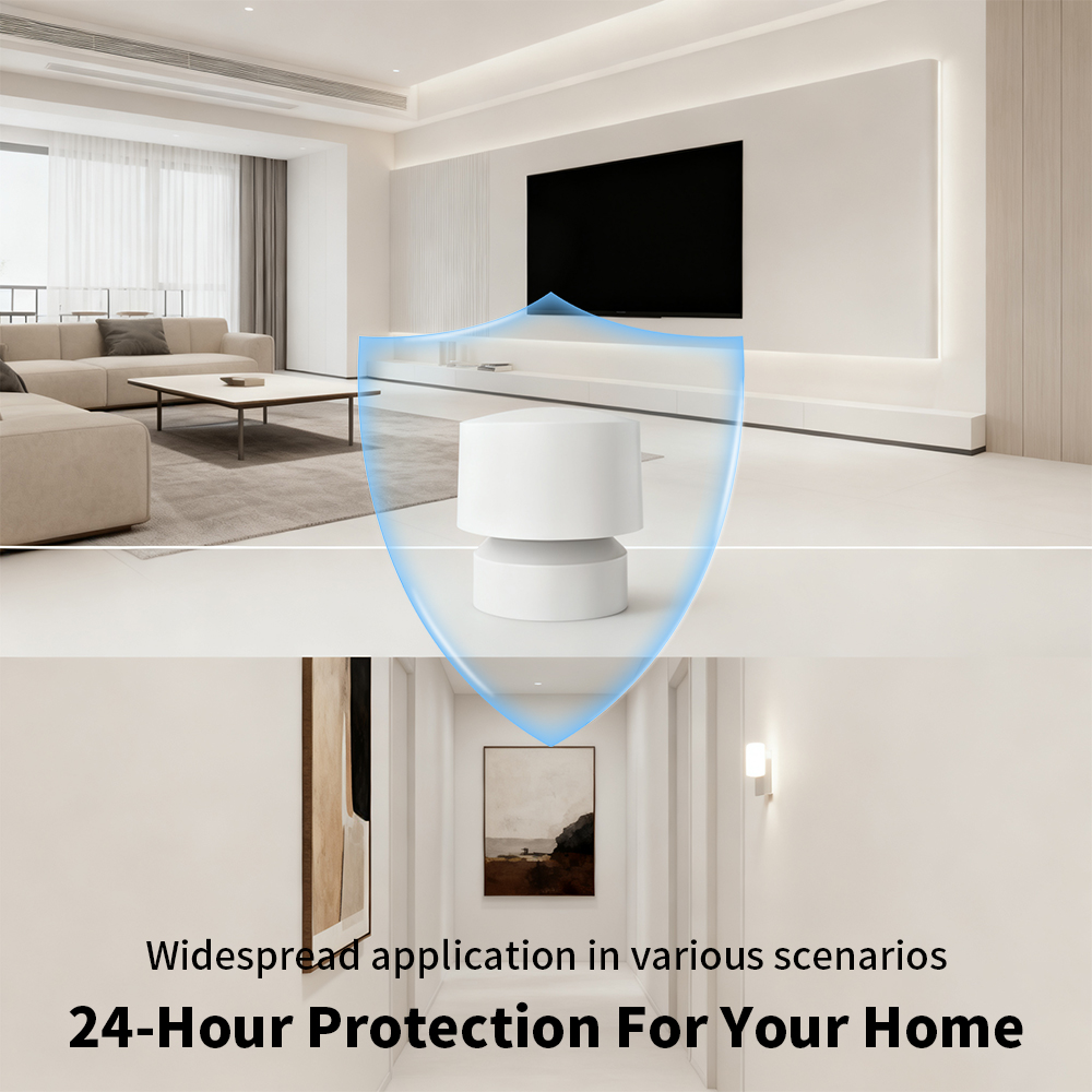Zigbee or WiFi Smart Human Pre - Tasmota review and price